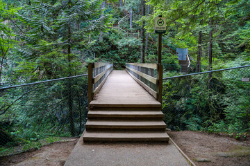 stairs and wood road in National Park