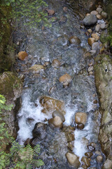 river with blue crystalline waters with rocks in the background