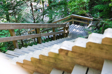 stairs and wood road in National Park
