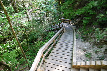 stairs and wood road in National Park