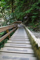 stairs and wood road in National Park