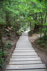 stairs and wood road in National Park