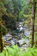 Cascade with Crystal Blue Water in National Park