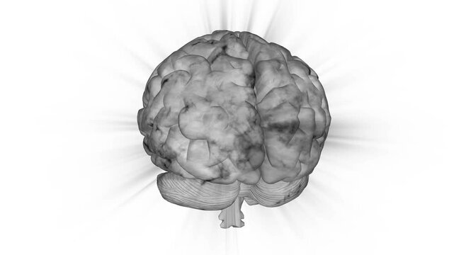 360 view of the human brain abstract animation on white background