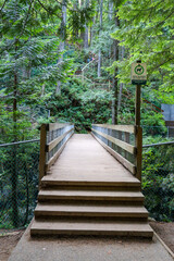 stairs and wood road in National Park