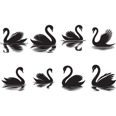Set of Swan silhouette and reflection, Black Swan Vector Illustration, White Background.
