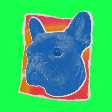 Colorful pop bulldog portrait animation, transparent 4K video, green screen