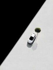 Minimalist Landscape with White Car and Tree Under Dramatic Lighting