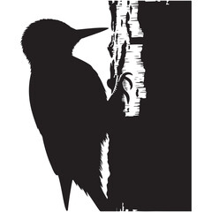 Wood pecker Silhouette Vector Graphics