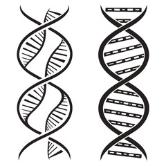 Abstract black D N A helix strands with internal patterns double helix science