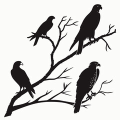 Black silhouettes of birds of prey perched on bare branches falcon hawk