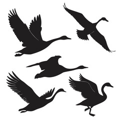 Black silhouettes of five flying swans and ducks wings