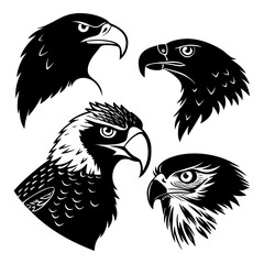 Fierce raptor heads black silhouettes detailed feathers eagle hawk