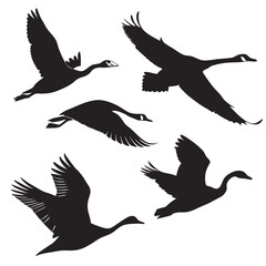 Obraz premium Five black silhouettes of geese and swans in flight birds flying