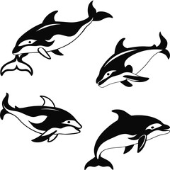 Four black and white orca whale and dolphin illustrations killer whale marine mammal