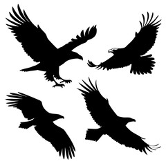 Obraz premium Four black eagle silhouettes in flight and diving eagles flying