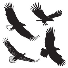 Four black eagle silhouettes in flight and diving bird flying