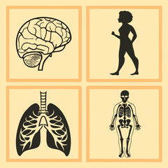 Human anatomy icons brain lungs skeleton runner human body
