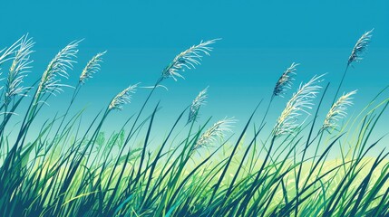 Gentle meadow grasses blowing in a serene summer sky.