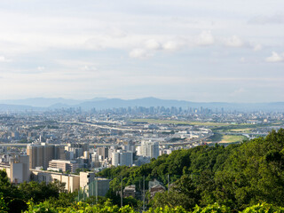 高台から見る街と空港の風景
