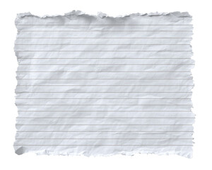 Torn piece of lined paper