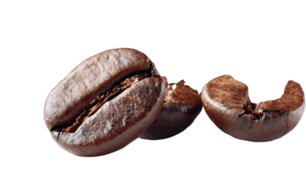 Coffee beans, whole and broken, on a white isolate background.