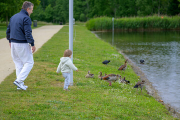 Man And Child Watching Ducks