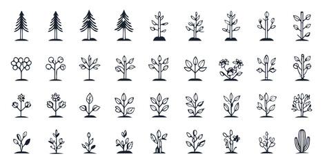 Naklejka premium Tall Pine Tree, Small Bush, Mini Tree, Flowering Plant, Tree with Leaves, Plant Growth, Garden Tree, Cactus, Botanical Icons, Leaf Tree, Line Plant, Nature Stem, Organic Icon, Plant Detail, Tree Top.