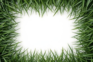 Vibrant Green Grass Frame Nature Border for Design Projects