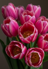 Obraz premium Closeup of a Bouquet of Pink and White Tulips