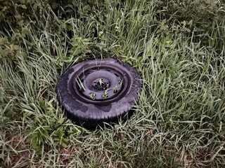 Tire is sitting in the grass with some plants growing out of it