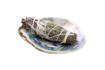 a white sage smudle on a shell