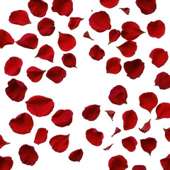 Red Rose Petals Spread on Transparent Background for Romantic and Elegant Decoration