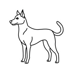 Dog Line Art Drawing on White Background, Dog line art