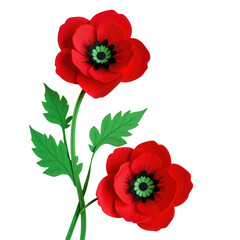 Vibrant Red Poppies in Bloom with Green Leaves and Intricate Details Against a Transparent Background