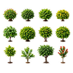 Collection of Vibrant Green Trees and Lush Bushes for Landscaping and Nature Design Projects