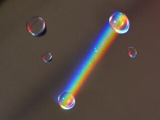Rainbow is reflected in a puddle of water