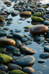 Harmonious Tranquility: The Timeless Dance of Wet Stones and Sea in Perfect Balance