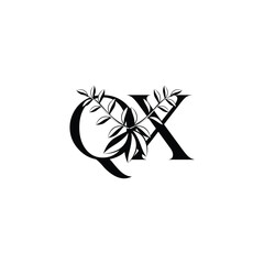 XQ or Leaf  QX logo and icon design
