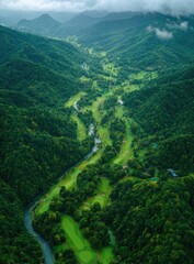 Fototapeta premium High-angle view of a winding golf course nestled in a valley surrounded by lush forests