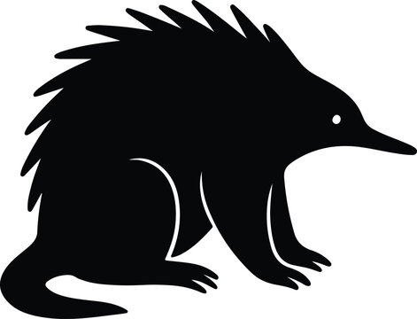 Silhouette echidna standing wildlife animal fauna australian mammal Vector illustration