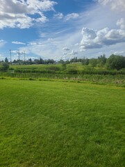 green field and blue sky