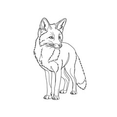 Obraz premium Continuous Line Drawing of a Standing Fox Looking Sideways