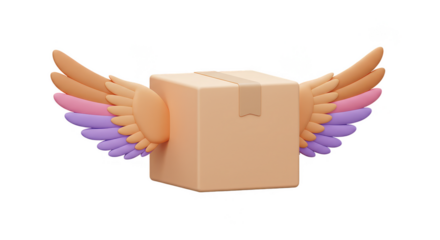 3D Flying Delivery Box with Wings Package Shipment Transport