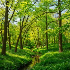 Fototapeta premium Sunlit Spring Forest Path with Lush Green Trees and Wildflowers