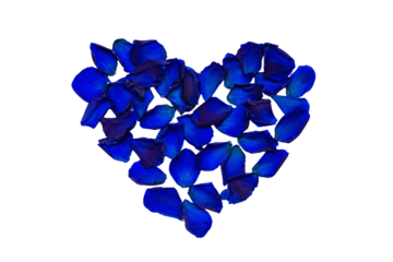 a heart made of blue petals on a white background