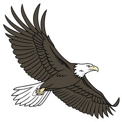 Hand Drawn Brown Eagle in Flight White Background bird