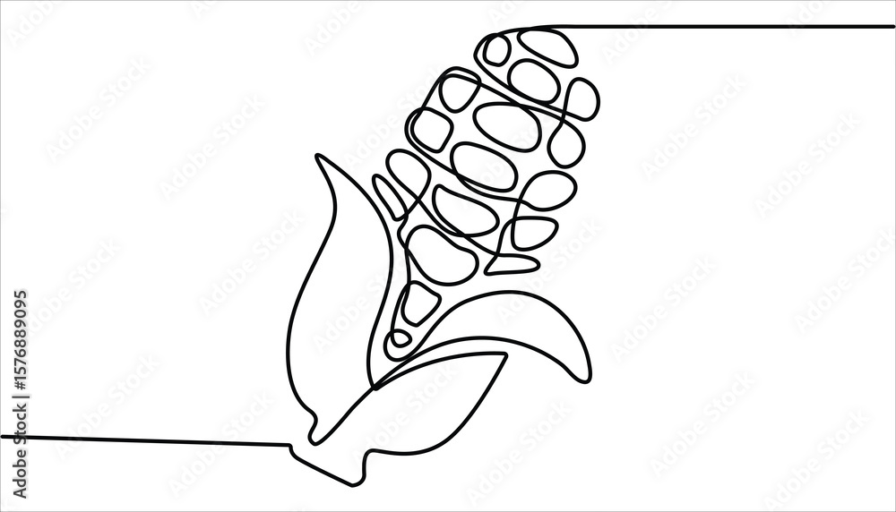 Poster continuous one line drawing of corn with partially open husk, continuous one line drawing of corn ve