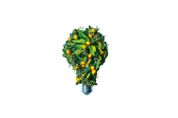 a light bulb with a bunch of oranges on it