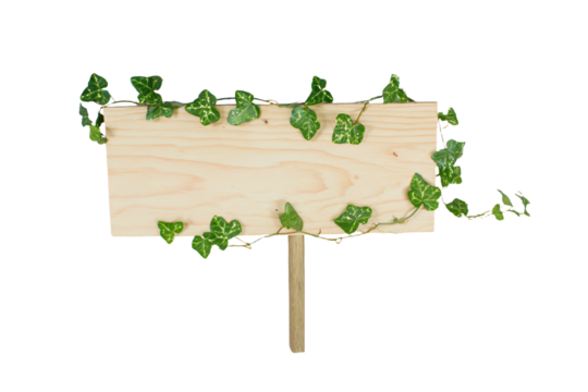 a wooden sign with ivys growing on it